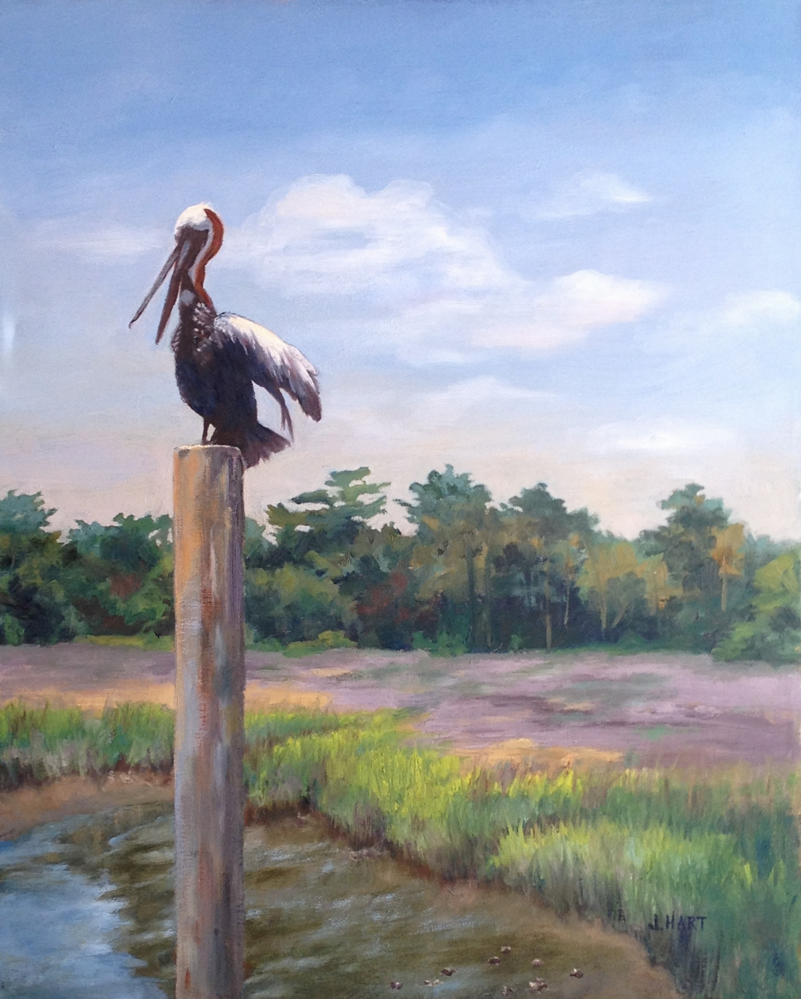 Pelican's Perch  by Jane Hart