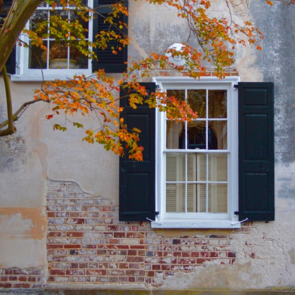 The Real Estate Studio, Mark Swick "Windows of Charleston" 