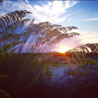 Seabrook Sunset by Instagram user @mingo_sc