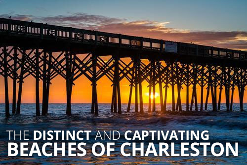 The Distinct and Captivating Beaches of Charleston