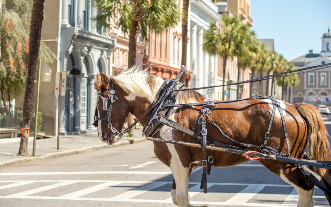 Horse and carriage on Broad Street in Charleston, SC