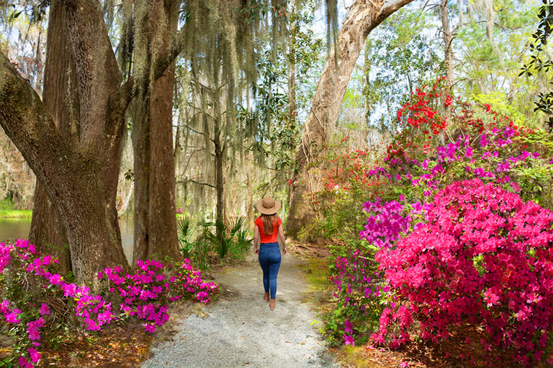 What to See in Charleston, SC: 12 of the Best Things to Do